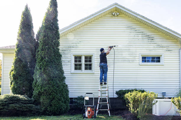 Solar Panel Cleaning in Shelby, MI